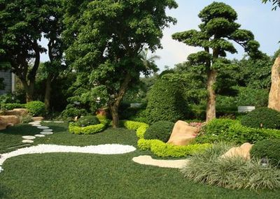 山東綠化苗木價格_想要品質(zhì)好的山東綠化苗木價格就來眾邦園林